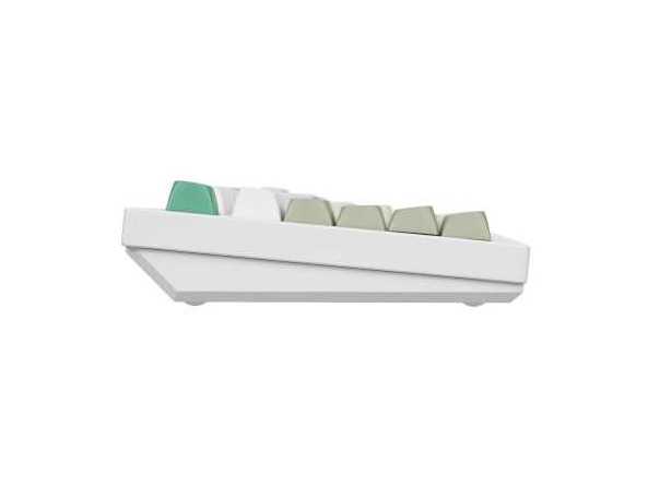 819265311c2914c8f684cfeb4fc3d8e7ea0e7e4588bd152f28d64c0a66d78c8a_1
