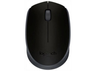 Мышь Logitech M171 Black 910-004424