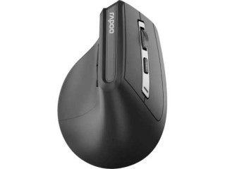 Мышь Rapoo EV310M-DGR Black