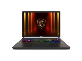 Ноутбук MSI Vector 17 HX AI A2XWIG-063XRU