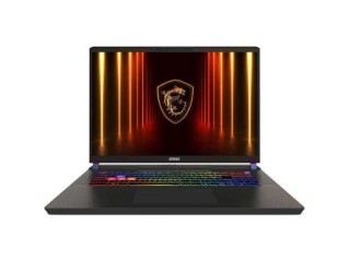 Ноутбук MSI Vector 17 HX AI A2XWJG-99XRU